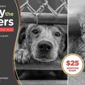 campaign for Urgent Medical Care for Injured Shibas